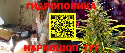 ГАЛЛЮЦИНОГЕННЫЕ ГРИБЫ Бердск
