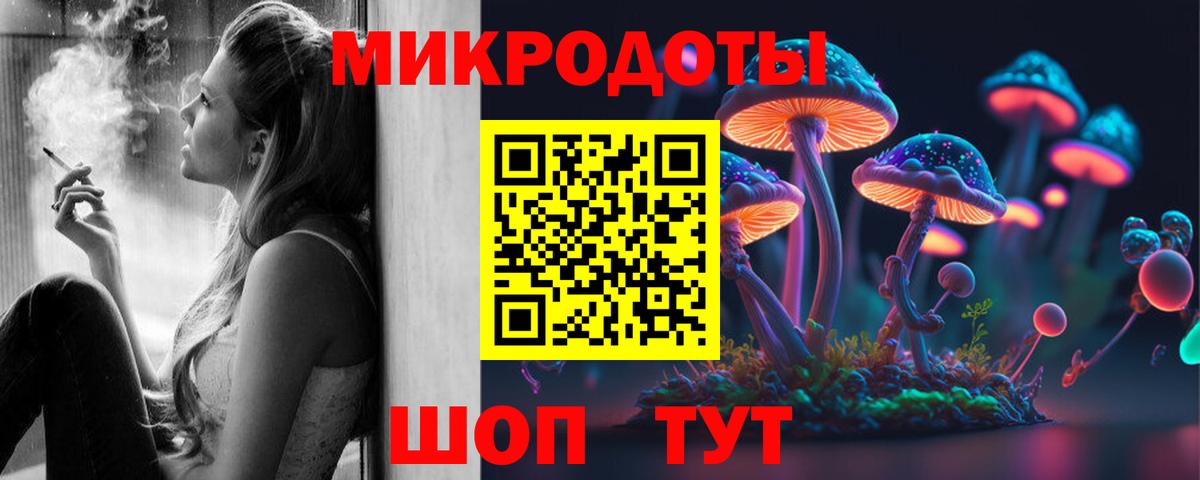 Богданович  Галлюциногенные грибы MAGIC MUSHROOMS  Вход с VPN 